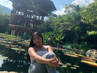 botanic garden