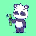 my-panda