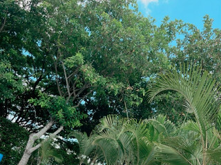 Going out with my boyfriend