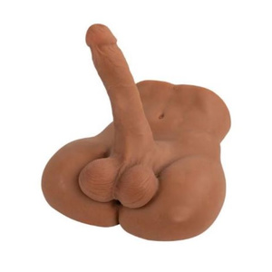 Torso toy