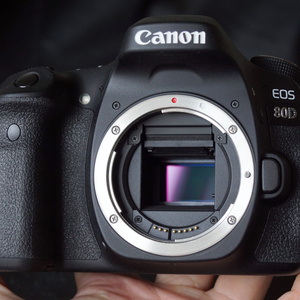 Canon EOS 80D