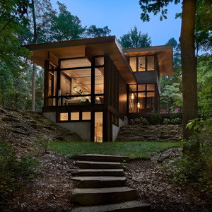 The house in the forest