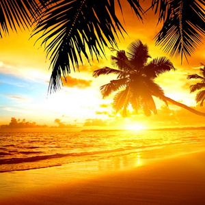 Go to the beach