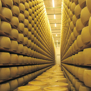 Start your own natural cheese production plant.