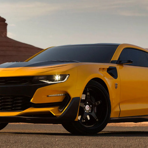 bumblebee