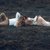 Highcouple11
