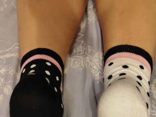 Funny cat socks