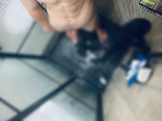 My Photos