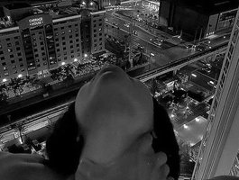 Holikypoliky webcam