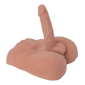 torsus