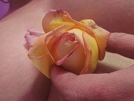 Delicious-Dahlia