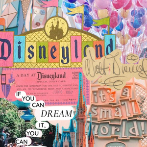 DISNEY VACATION