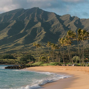 Hawaiian Dream