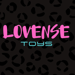 LOVENSE TOY