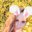 Nilkibunnyxo