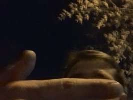 Larikd