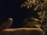Larikd (21, White Cam Boy) performing ass fucking.