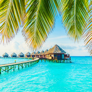 I want to go on vacation!