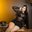 RedAngel1-