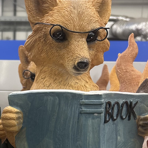 Книжный стеллаж ?