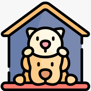 I want a shelter for street dogs