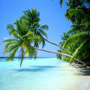 A trip to the beach
