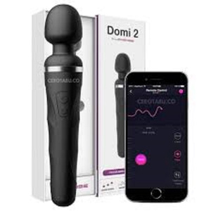 toy domi