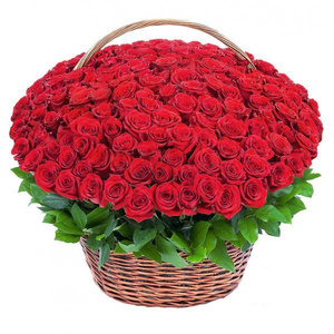 101 roses