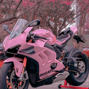 DUCATi Dream Bike