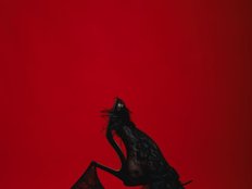 Sexymaya22 Gallery Image 1