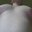JuicyNaughtyBoy