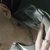 Andrey25vb