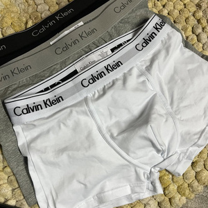 Tight white Calvin Klein Briefs $22