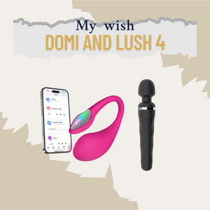 Lovense toys