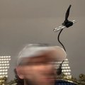 Ggyuufdsdr