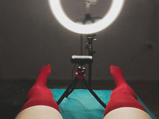 мохнатый шмель