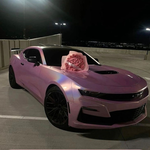 I want to have a pink sports car