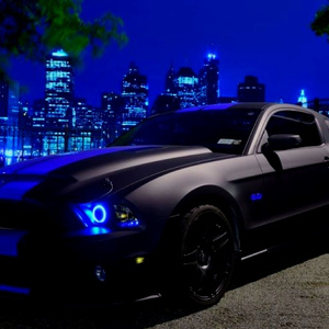 Buy a car