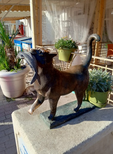 Kuzinaa My Photos photo 13652819