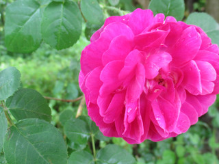 Мои любимые