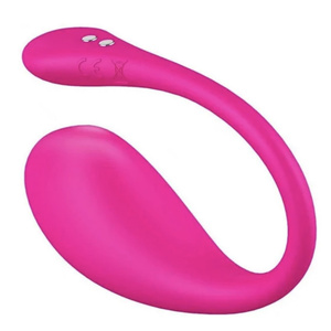 Lovense vibrator)