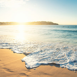See the sea