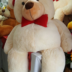 the teddy bear of my dreams.