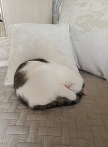 Prosto1Danya Здрасьте🤣🤣🤣 photo 14751857