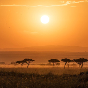 A guided safari trip for the two of us