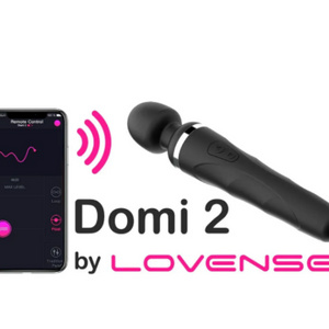My first domi