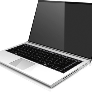 Save up for a laptop