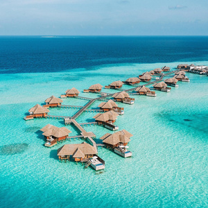 Dream TRIP