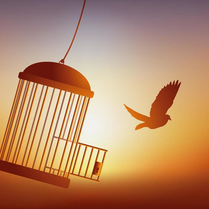 Freedom