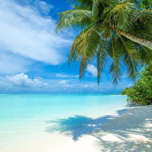 I want to go to the sea